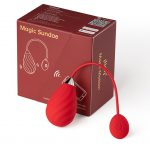 Magic Motion- App Controlled Love Egg