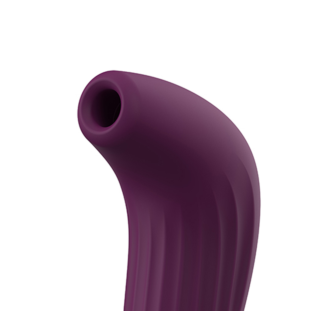 svakom pulse