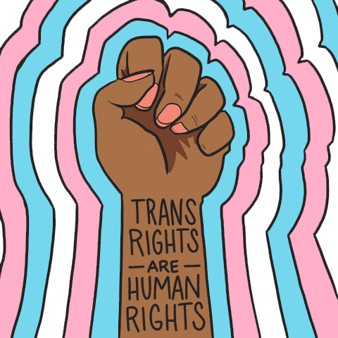 Transrechten