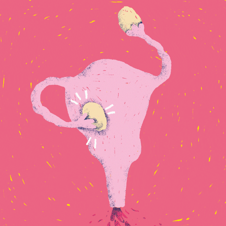 ovulatie gif