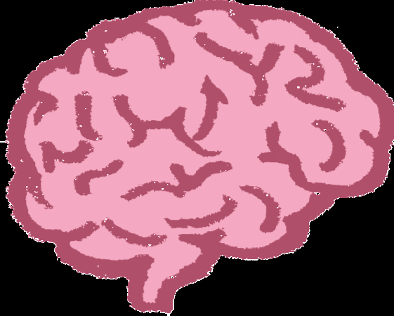 brein