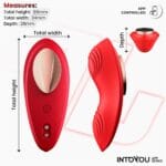 Intoyou panty vibrator met magneet