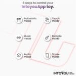 Intoyou panty vibrator usp