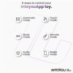 INTOYOU - Handsfree Koppel Vibrator met App informatie
