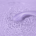 Svakom - Margot Verwarmende G-Spot Vibrator met APP gif