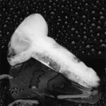 LoveToy - Siliconen IJsblokjesvorm Mini Penis kopen