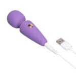 Le Wand - Mini Vibe Microwand Paars opladen