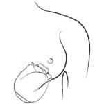 ROMP - Rose Glow Luchtdruk Vibrator tepel