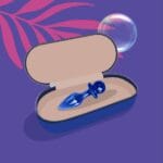 Biird Anii - Glazen Buttplug opbergen